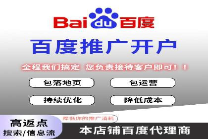 SEM投放策略：成功案例解析
